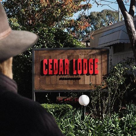 Cedar Lodge Braidwood Eksteriør bilde
